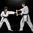 영진태권도 이미지