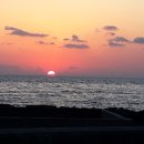 돌고래하우스 이미지