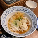 [염창역 맛집] 쫄깃한 면발이 맛있는 우동집, 우동키노야 내돈내산 후기