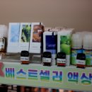 베이프준 이미지