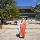 원시로1 Daum카페