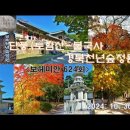 단풍(토함산-불국사-경북천년숲정원)(6)＜유투브동영상＞ 이미지