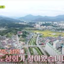 팔도상회 이미지