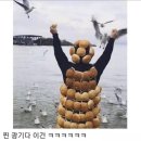 한신헬스클럽 | 📂내 취향 짤 모음.ZIP_직장인짤,무도짤,성동일짤,웃긴짤,다이어트짤,고양이짤,원숭이짤,회식짤 등등