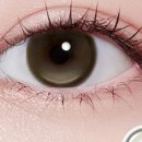 다비치안경 도곡역점 이미지