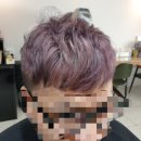 라벤더에쉬 이미지