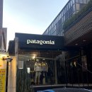 파타고니아강남직영점 이미지
