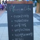 플뢰르잇카페
