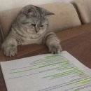 윤병화 | 2024년 제 25회 준학예사 시험 독학 합격 후기🤓 한국사 전시기획론 박물관학 교재추천