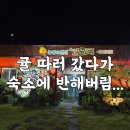 도도1농장 | 제주시펜션 후기 - [설문대 농장&amp;펜션] 감귤체험 펜션
