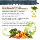 전라도반찬 이미지