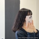 김수진 미용실 | 차홍룸 강남점 보더펌 내돈내산 만족후기 (김수진 디자이너)