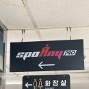 화정역 | 화정역 헬스장 스포애니 PT 후기