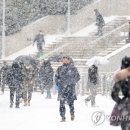 찾음 이미지