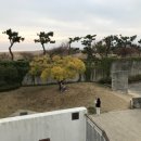 백합작은도서관 네이버블로그