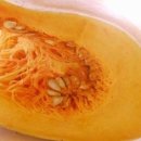 파이토뉴트리 이미지