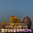 알로하투어 | 대부도카페 대부도 함초당&알로하피크닉 방문주차후기