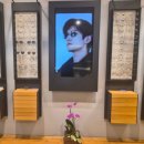 명동PC | 명동 세란안경에서 입체시력검사부터 린드버그, 크롬하츠까지 완벽한 맞춤 검안 후기