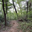 관악-현장-관악-12-17 이미지