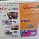 꽃보다 Dog 네이버블로그