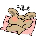 마이피트 네이버블로그