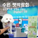 강아지 사료·영양제 다있다! 수원 펫박람회에서 만난 페노비스 후기