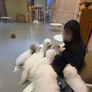 CATS TIME CAFE 티스토리