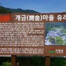 개금약초 이미지
