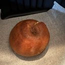 메디사랑의원 | 대타 마지막 날/피부관리 물광 팩 조카 선물 할모니 조끼