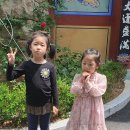 혜원 이미지