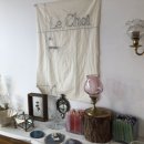 원두댕댕이 이미지