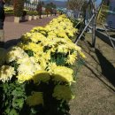 범어리 워터파크 이미지