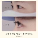 퍼펙트 | 강릉 속눈썹 연장 &amp; 속눈썹 펌 잘하는 곳 포남동 퍼펙트픽스 후기
