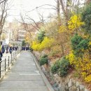 서울동구고등학교 이미지