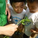 만천초등학교 병설유치원 이미지