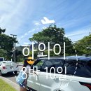 면세점 추천쇼핑리스트 * 하와이 필수 준비물 - 헤어제품 추천 * 김정문알로에 선스틱 * 칼린 소프트백...