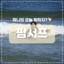 양양팜서프 | [설악해변 서핑] 양양 ‘팜서프🏄🏻‍♀️’ 내돈내산 강습 후기