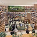 더스타(해피엔젤라) | 아이랑 다녀오기 좋은 스타필드빌리지 운정 오픈 후기, 이용 정보 정리