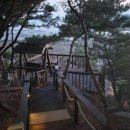 엘비스 펜션 | 오션뷰와 일출이 완벽한 태안 힐링 스팟 태안펜션 매력적인 엘비스펜션을 다녀와본 후기