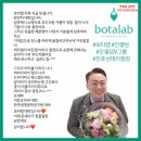 인셀덤V스타