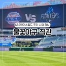푸시존 | 불꽃야구 직관 후기 퇴근길 인천 랜더스필드 주차 정보 프렌들리존 A열 시야