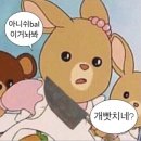 부가세 80만원 절세해준 위너스세무그룹 세금 신고 썰 푼다.