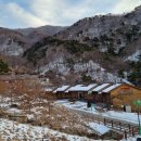 대나무랜드 이미지