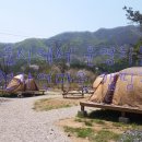 철원 평화마을 서울캠핑장 이미지