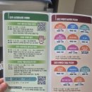 고려청자박물관 | 2026년 강진청자축제 초등 가족 방문 후기_ 고려청자박물관, 민화뮤지엄(물레, 조각, 민화 그리기 체험)