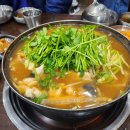 복어마을 | 제주도 서귀포 현지인 참복 까지복 복어매운탕 맛집 향원복집