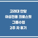 크로스핏 라이언짐2 | 제 땀이 튀어서 스플래시인가요? - 여성전용 크로스핏 샤크짐 그룹수업 후기 2주차, 스플래시(그룹PT)