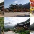 비룡수산 이미지