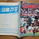 럭키금성슈퍼