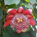 가와지어린이공원 이미지